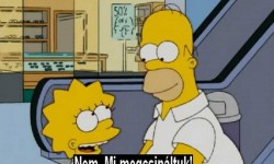 Homer csak Homer
