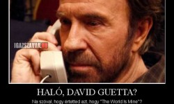 Haló, DAVID GUETTA?