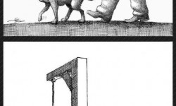 Mana Neyestani elgondolkodtató művei