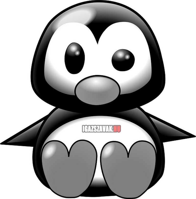 A legősibb állat a pingvin, mert az még fekete-fehér
