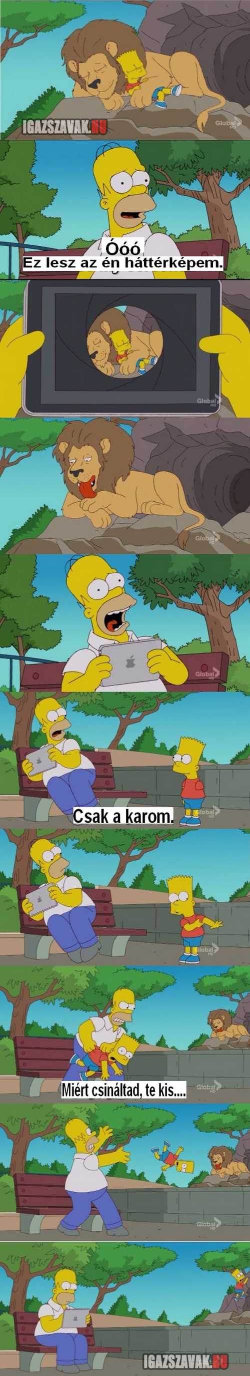 Csak Bart és Homer