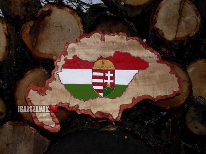egy amerikai újságíró cikke magyarországról