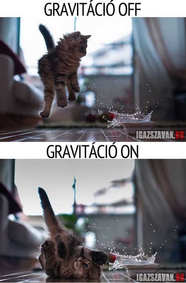 gravitáció