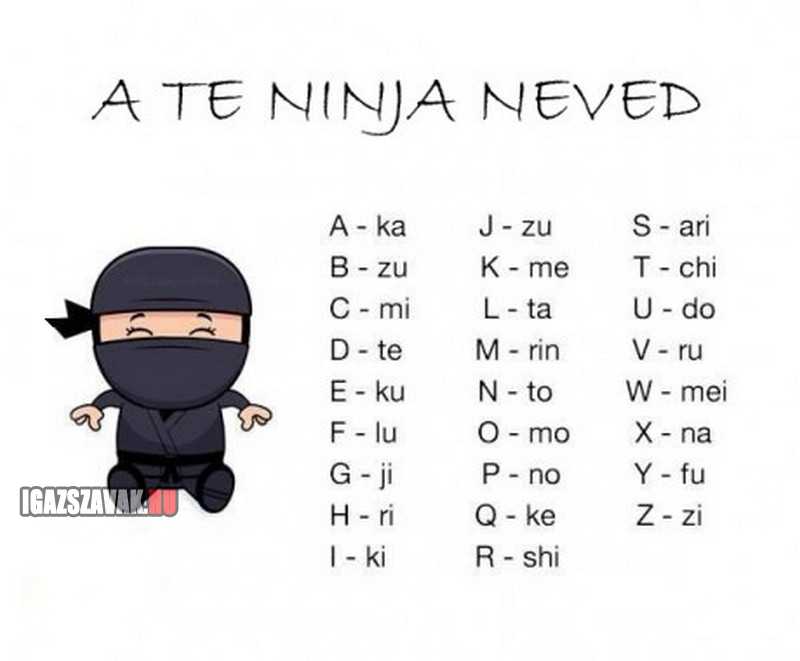 mi a ninja neved