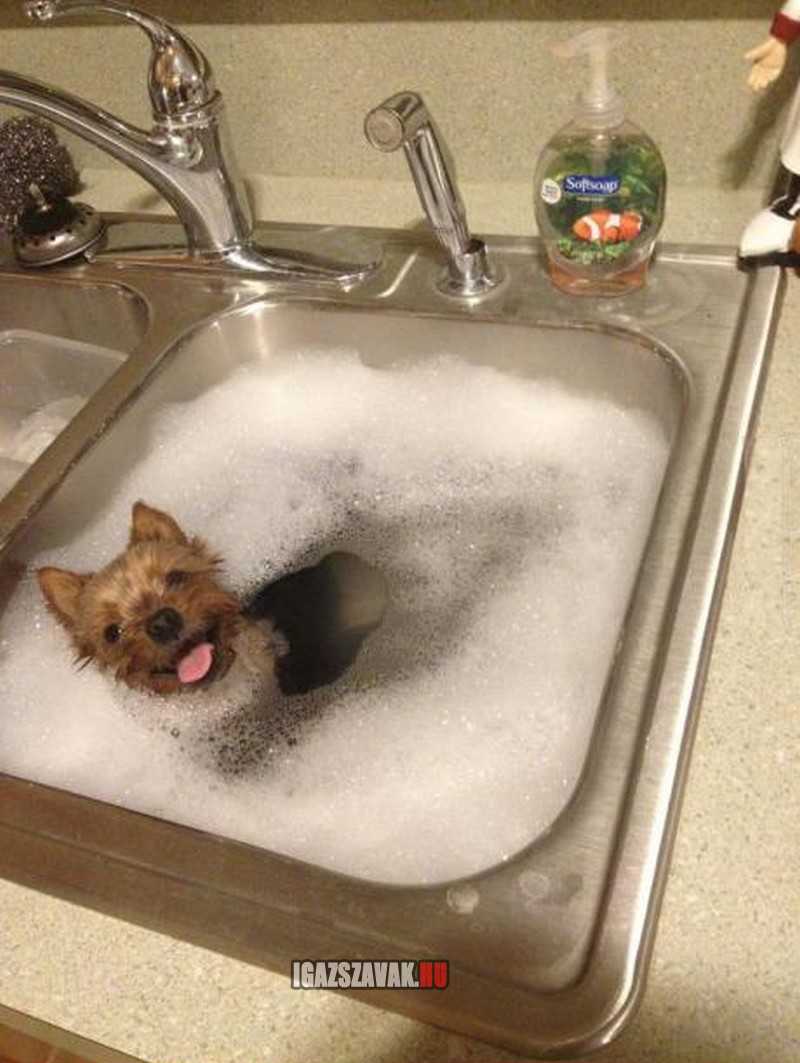 valaki nagyon imád fürdeni