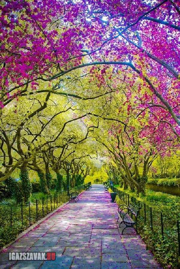 Tavasz a Central Parkban