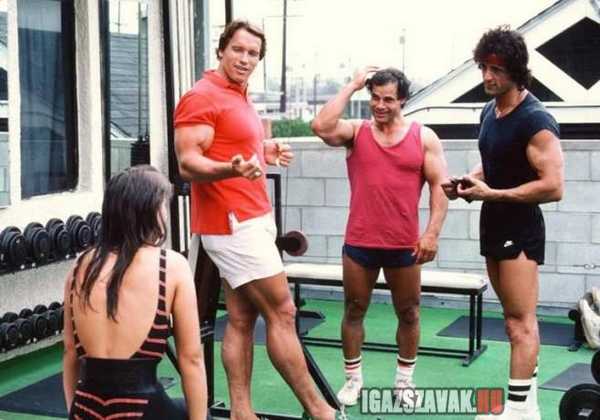 retró edzéspillanat Arnold Schwarzeneggerrrel és Silvester stallonéval
