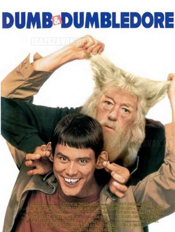 dumb és dumbledore