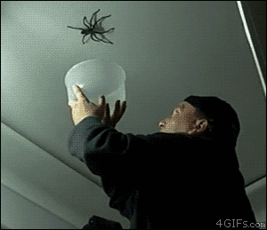 na így ne fogj pókot az tuti