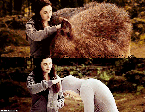 funny-gif-Twilight-behind-the-scenes-wolf