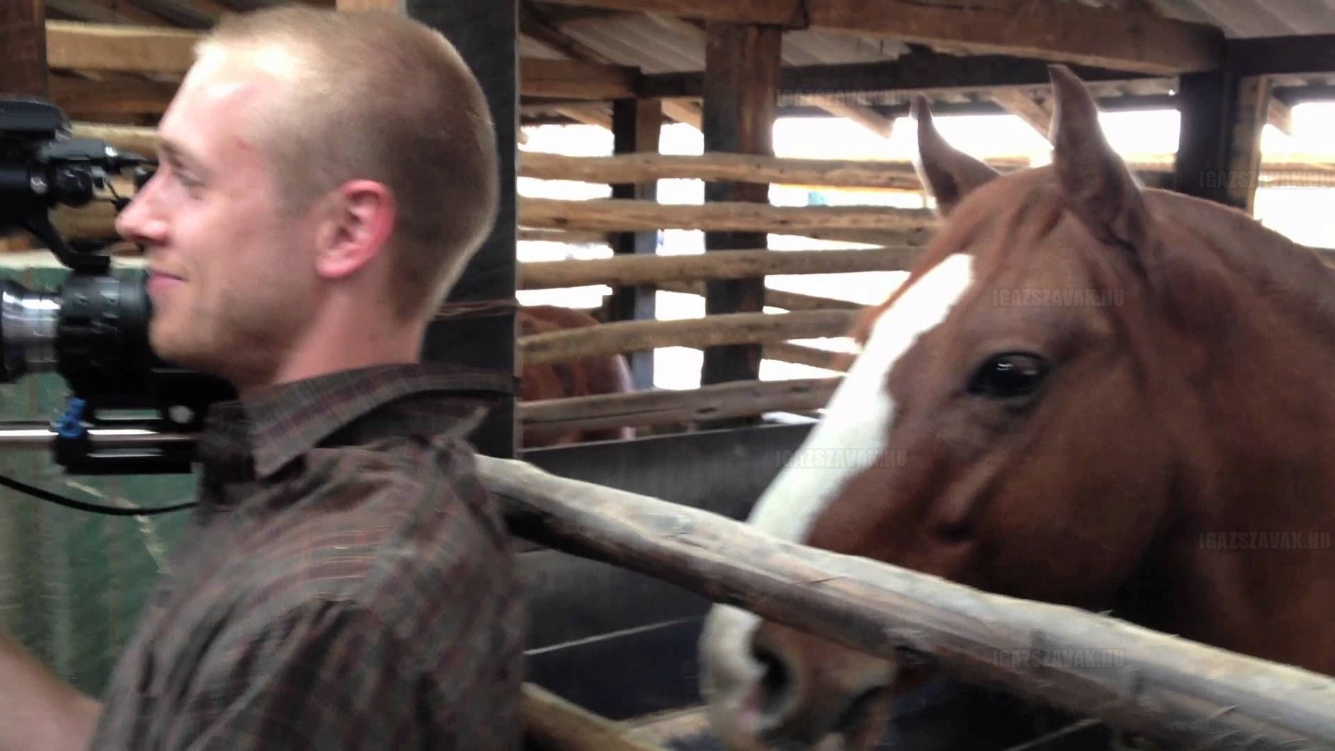 Fülre támad a ló – Ezt a videót látnod kell!