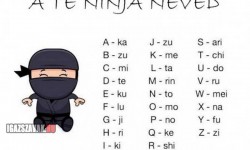 Tudd meg mi a Te ninja neved!