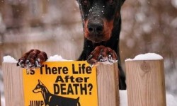 Vajon van élet a halál után? Derítsd ki!