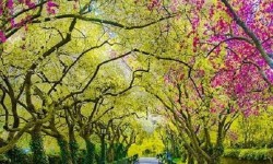 Tavasz a Central Parkban