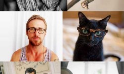 Elképesztő hasonlóság: Pasik vs macskák