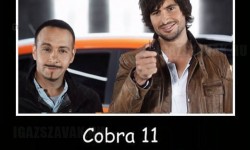 A Cobra 11-ben már semmi sem meglepő!