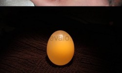 Egy kis érdekesség kémiaórára: ez történik a tojással, ha ecetbe rakod