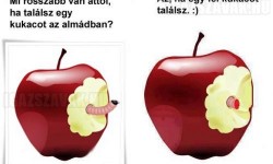 Mi rosszabb van attól, ha egy kukacot találsz az almádban?