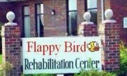 Flappy Bird Rehabilitációs Központ
